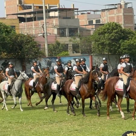 PREPARACIÓN EN EQUITACIÓN